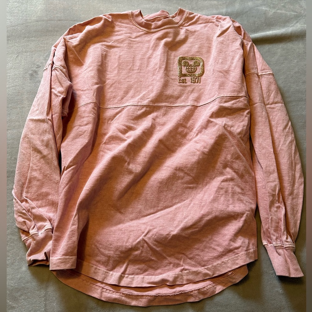 Disney world spirit jersey